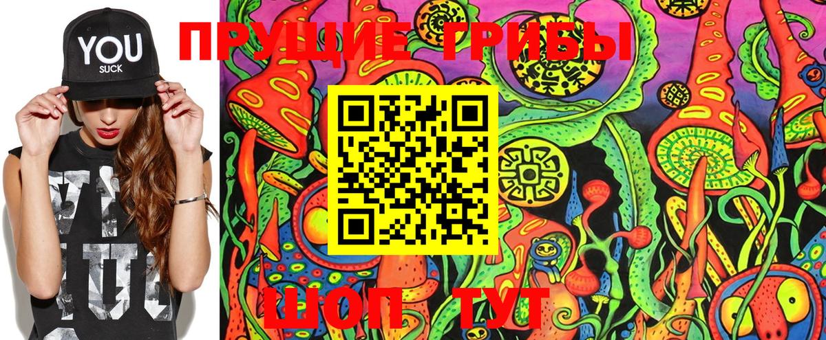 Гай  Псилоцибиновые грибы GOLDEN TEACHER  Вход с VPN  Псилоцибиновые грибы мицелий 